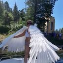 ���������� �����������, ���� ������� �������, 63 ����, ������������ ��� ����� � ���������, c�������� ���������