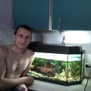 ���������� ������, ���� ������� ����, 38 ���, ������������ ��� ������, ����� � ���������, c�������� ���������