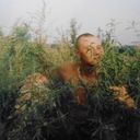 ���������� ������, ���� ������� ������, 43 ����, ������������ ��� ����� � ���������, c�������� ���������