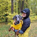 ���������� �����, ���� ������� ���������, 28 ���, ������������ ��� ������, ����� � ���������