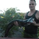 ���������� �����, ���� ������� ������, 38 ���, ������������ ��� ����� � ���������, c�������� ���������