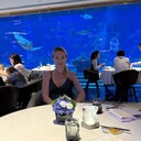 ���������� �����, ���� ������� �������, 40 ���, ������������ ��� ���������