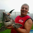 ���������� ���������, ���� ������� ������, 61 ���, ������������ ��� ����� � ���������, c�������� ���������