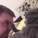 ���������� �����, ���� ������� �������, 38 ���, ������������ ��� ����� � ���������, c�������� ���������