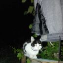 Bansko,   , 19 ,   ,   