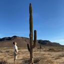 ���������� ������, ���� ������� ������, 33 ����, ������������ ��� ������, ����� � ���������, c�������� ���������