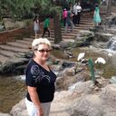 ���������� �����, ���� ������� ��������, 64 ����, ������������ ��� c�������� ���������