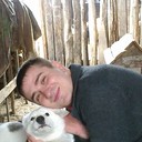 ���������� ��������, ���� ������� �����, 38 ���, ������������ ��� ������