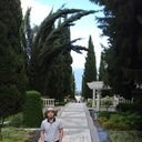 ���������� ������, ���� ������� ������, 36 ���, ������������ ��� ������, ����� � ���������, c�������� ���������, ���������