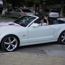  ,   Olejik, 42 ,   ,   , c 