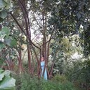 ���������� ����, ���� ������� Olga, 41 ���, ������������ ��� ������, ����� � ���������, c�������� ���������