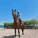 ���������� ������, ���� ������� Marty, 29 ���, ������������ ��� ������, ����� � ���������