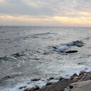 ���������� ����, ���� ������� ��������, 38 ���, ������������ ��� ������, ����� � ���������, c�������� ���������