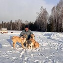 ���������� ����������, ���� ������� ���, 40 ���, ������������ ��� ������, ����� � ���������, c�������� ���������