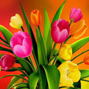 ���������� ������, ���� ������� Ohunjo, 30 ���, ������������ ��� ������, ����� � ���������, c�������� ���������