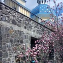 ���������� La Ceiba, ���� ������� �����, 61 ���, ������������ ��� ������, ����� � ���������, c�������� ���������, ���������