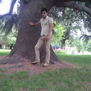 ���������� �������, ���� ������� �����, 38 ���, ������������ ��� ������