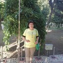   ,   , 67 ,   c , 