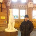 ���������� ������, ���� ������� �������, 50 ���, ������������ ��� c�������� ���������