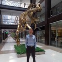 ���������� ������, ���� ������� ������, 39 ���, ������������ ��� ������, ����� � ���������, c�������� ���������