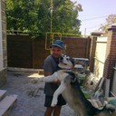 ���������� �����������, ���� ������� ������, 42 ����, ������������ 