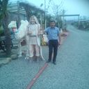  ,   Adalat, 55 ,   ,   , c 
