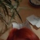 ���������� �����, ���� ������� �������, 48 ���, ������������ ��� ������, ����� � ���������