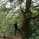  ,    , 36 ,   c 