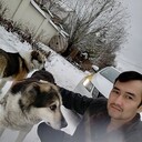 ���������� ������, ���� ������� ���, 38 ���, ������������ ��� ������, ����� � ���������