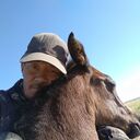 ���������� �������, ���� ������� ������, 43 ����, ������������ ��� ������, ����� � ���������, c�������� ���������, ���������