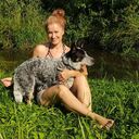 ���������� �������, ���� ������� �����, 50 ���, ������������ ��� ����� � ���������, c�������� ���������