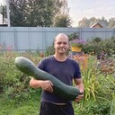 ���������� �����������, ���� ������� ������, 42 ����, ������������ ��� ����� � ���������, c�������� ���������