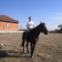 ���������� �������, ���� ������� �����, 43 ����, ������������ ��� c�������� ���������