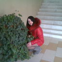  ,   , 31 ,     , c 