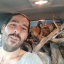 ���������� ������, ���� ������� �������, 38 ���, ������������ ��� ������, ����� � ���������