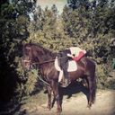 ���������� ��������, ���� ������� ����, 29 ���, ������������ ��� ����� � ���������, c�������� ���������