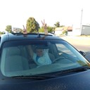  ,   Vadosss, 44 ,   ,   , c 