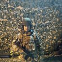  ,   , 54 ,   ,   , c , 