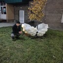 ���������� ������, ���� ������� �������, 35 ���, ������������ ��� ������, ����� � ���������