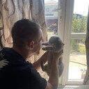 ���������� ���������, ���� ������� ����, 27 ���, ������������ ��� ������, ����� � ���������, c�������� ���������, ���������