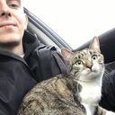 ���������� ����, ���� ������� ���������, 29 ���, ������������ ��� ������, ����� � ���������, c�������� ���������, ���������