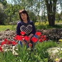  ,   Vika, 65 ,   ,   , c 