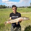  ,   , 31 ,   ,   , c 