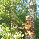 ���������� �����-���������, ���� ������� ���������, 61 ���, ������������ ��� ���������