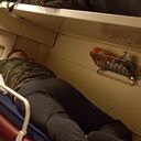 ���������� ���������, ���� ������� ����, 40 ���, ������������ 