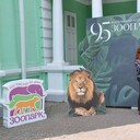  --,   , 45 ,     , c 