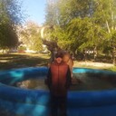 -,   , 38 ,   ,   