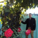  ,   , 36 ,     , c 