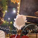 ���������� �����������, ���� ������� ����, 27 ���, ������������ ��� ������, ����� � ���������