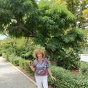  ,   , 66 ,   ,   